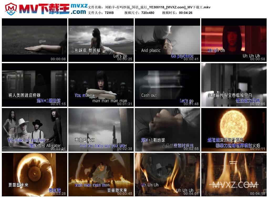 刘柏辛-有吗炒面_国语_流行_YE300118